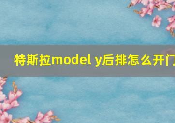 特斯拉model y后排怎么开门